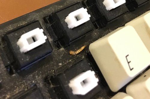 Bug found in adesso keyboard